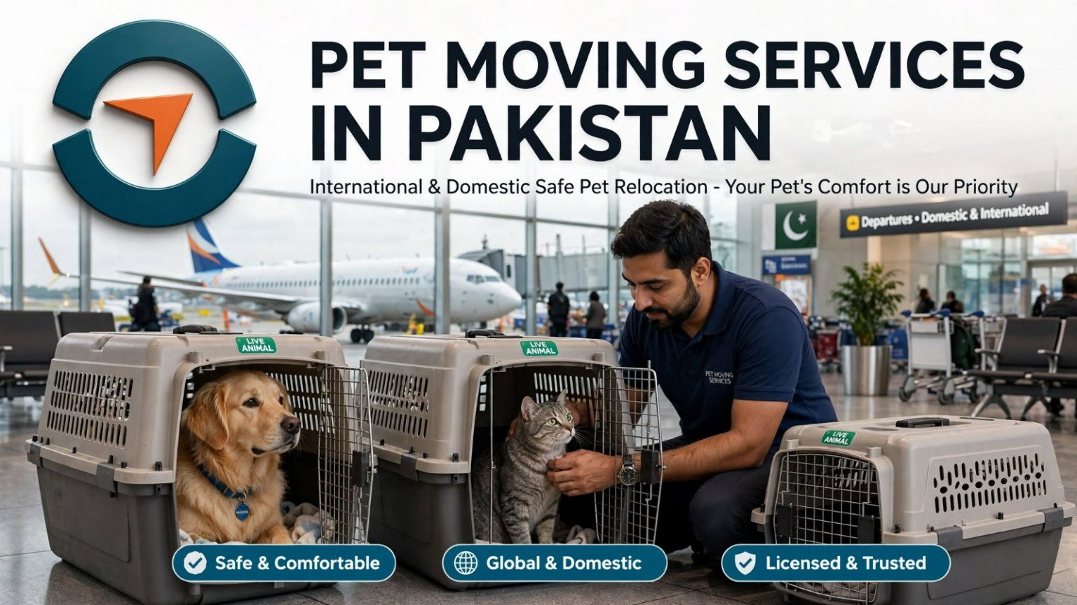 Pet Moving Services in Pakistan with safe handling, careful transport, and reliable relocation support for cats, dogs, and other pets.